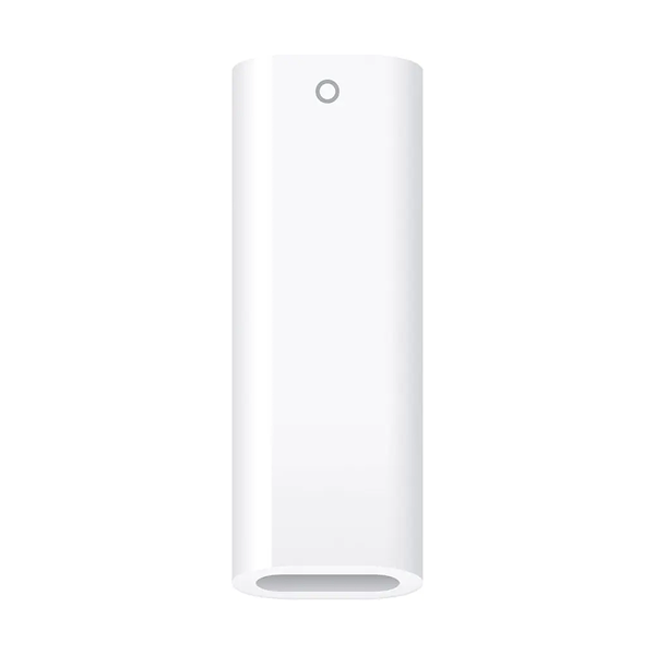 Apple Pencil (1st Generation)
